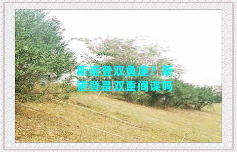 斯诺登双鱼座？斯诺登是双重间谍吗