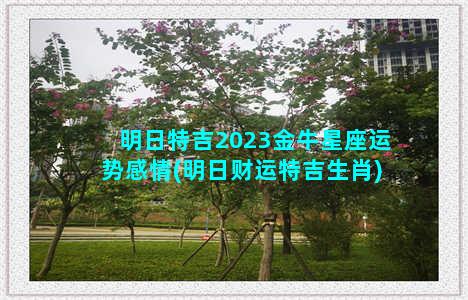 明日特吉2023金牛星座运势感情(明日财运特吉生肖)