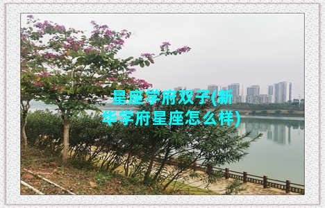 星座学府双子(新华学府星座怎么样)