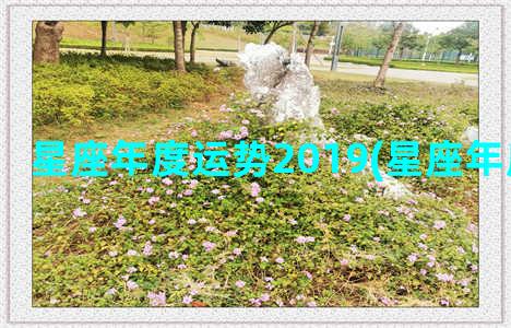 星座年度运势2019(星座年度运势2023)