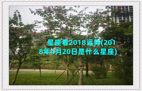 星座看2018运势(2018年4月20日是什么星座)