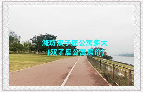 潍坊双子座公寓多大(双子座公寓房价)