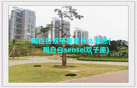 陶白白双子座是什么意思(陶白白sensei双子座)